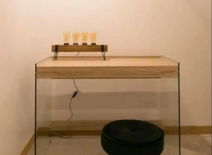 Confortable 3 Pieces Flatters 아파트